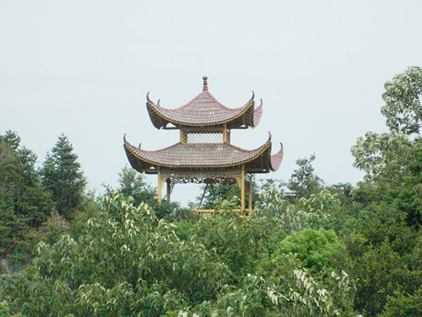 溆浦湘楚木作古建工程有限公司,土家吊腳樓,侗鄉鼓樓,侗鄉風雨樓哪里好