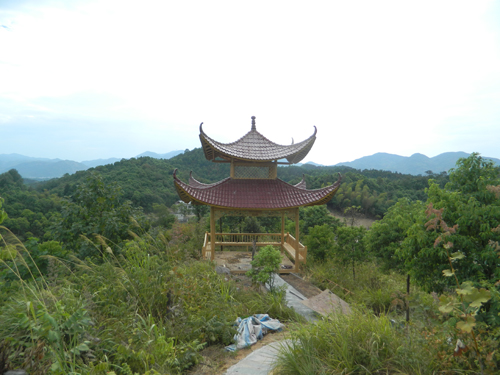 溆浦湘楚木作古建工程有限公司,土家吊腳樓,侗鄉(xiāng)鼓樓,侗鄉(xiāng)風(fēng)雨樓哪里好